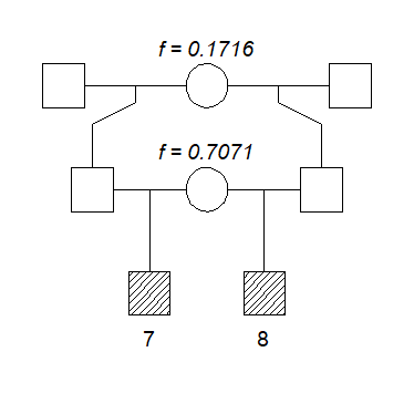 A relationship with kappa = (1/8, 6/8, 1/8)